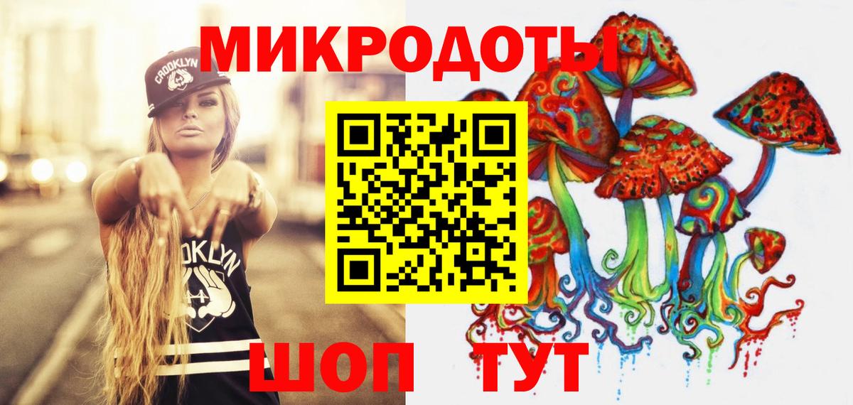 Галлюциногенные грибы Psilocybe Южно-Сахалинск