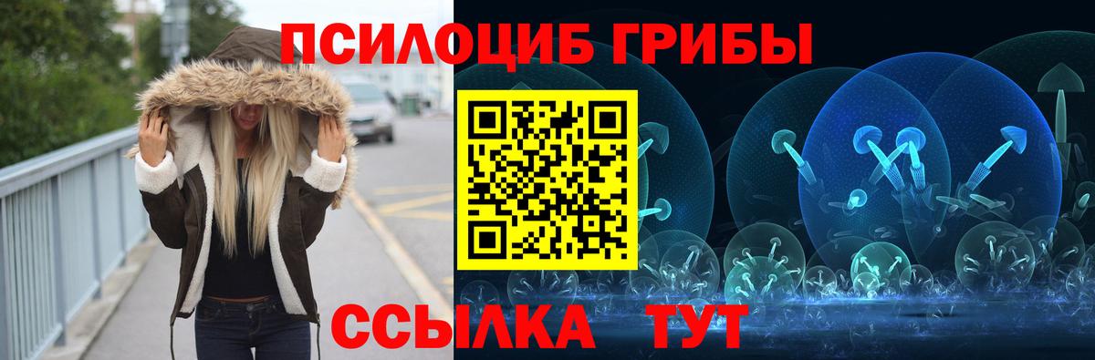 Южно-Сахалинск  Галлюциногенные грибы Psilocybe  Вход с VPN 